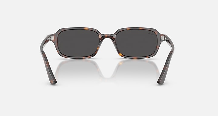 Ray-Ban ZURI BIO-BASED Havana with Dark Grey Solid Color lenses - Back