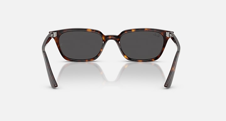 Ray-Ban ZAYA BIO-BASED Havana with Dark Grey Solid Color lenses - Back