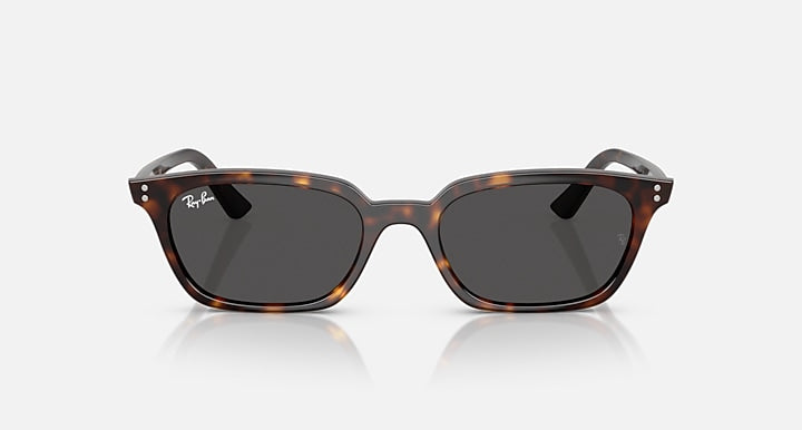 Ray-Ban ZAYA BIO-BASED Havana with Dark Grey Solid Color lenses - Front
