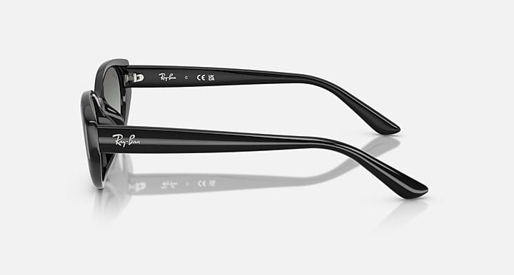 Ray-Ban RB4457D BIO-BASED Black with Grey Gradient Gradient lenses - Lateral
