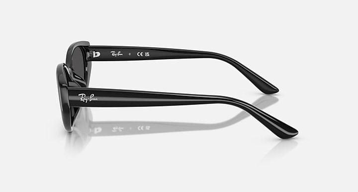 Ray-Ban RB4457D BIO-BASED Black with Dark Grey Solid Color lenses - Lateral