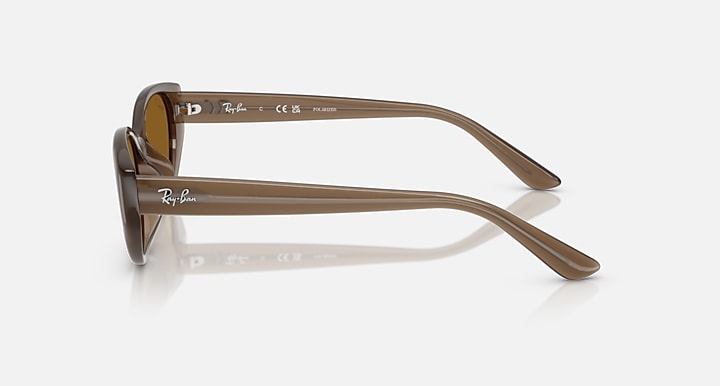 Ray-Ban RB4457D BIO-BASED Transparent Brown with Dark Brown Polarized Solid Color lenses - Lateral