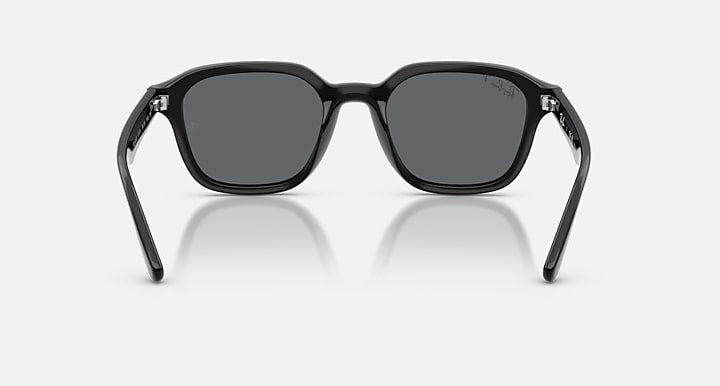 Ray-Ban RB4458D Black with Dark Grey Polarized Solid Color lenses - Back