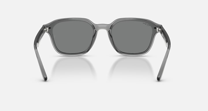 Ray-Ban RB4458D Transparent Grey with Dark Grey Solid Color lenses - Back