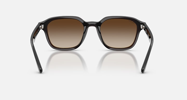 Ray-Ban RB4458D Transparent Dark Brown with Gradient Brown Gradient lenses - Back