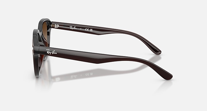 Ray-Ban RB4458D Transparent Dark Brown with Gradient Brown Gradient lenses - Lateral