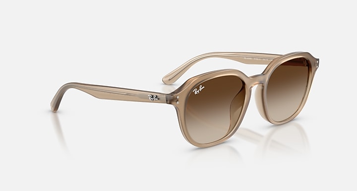 Ray-Ban RB4459D Turtledove with Gradient Brown Gradient lenses - Alternative