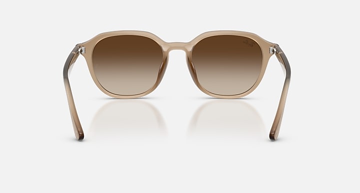 Ray-Ban RB4459D Turtledove with Gradient Brown Gradient lenses - Back