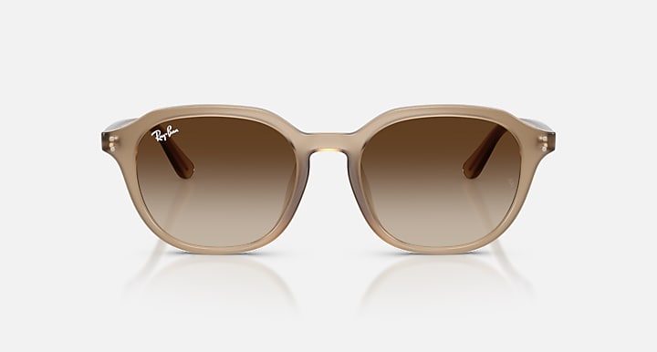 Ray-Ban RB4459D Turtledove with Gradient Brown Gradient lenses - Front