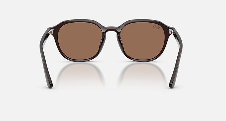 Ray-Ban RB4459D Opal Brown with Dark Brown Solid Color lenses - Back
