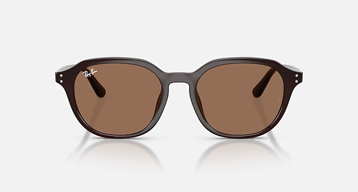 Ray-Ban RB4459D Opal Brown with Dark Brown Solid Color lenses - Front