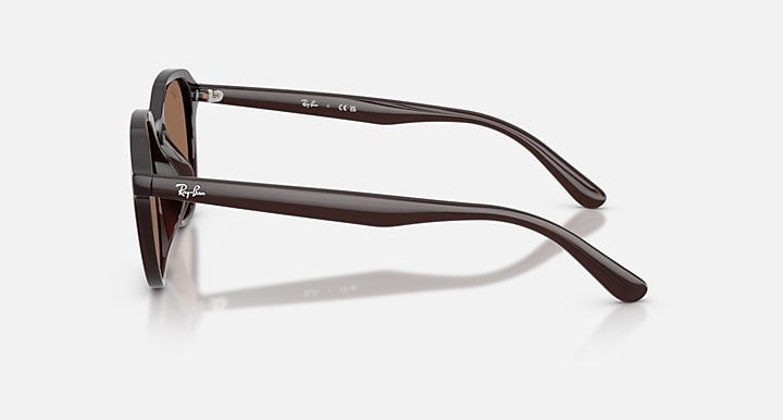 Ray-Ban RB4459D Opal Brown with Dark Brown Solid Color lenses - Lateral