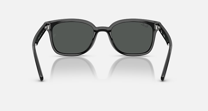 Ray-Ban RB4461D Black with Dark Grey Solid Color lenses - Back