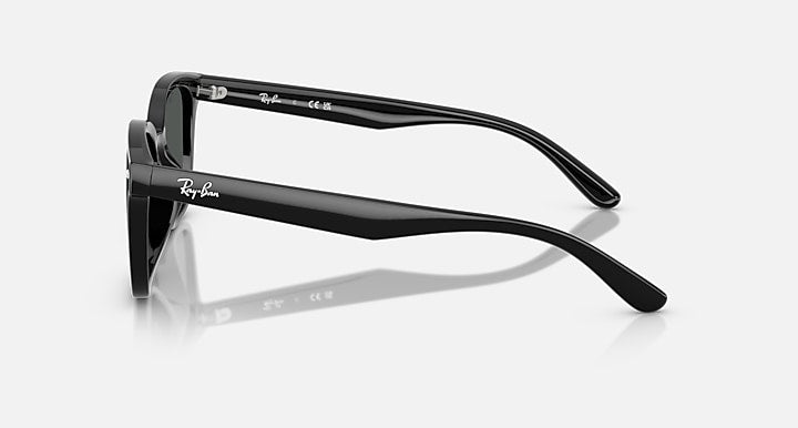 Ray-Ban RB4461D Black with Dark Grey Solid Color lenses - Lateral