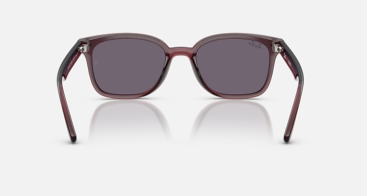Ray-Ban RB4461D Transparent Dark Brown with Violet Solid Color lenses - Back