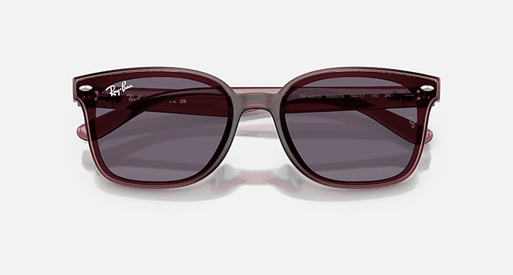 Ray-Ban RB4461D Transparent Dark Brown with Violet Solid Color lenses - Closed Front