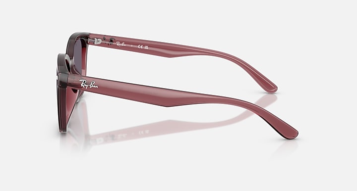 Ray-Ban RB4461D Transparent Dark Brown with Violet Solid Color lenses - Lateral