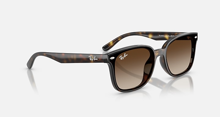 Ray-Ban RB4461D Havana with Gradient Brown Gradient lenses - Alternative