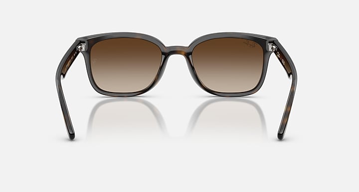 Ray-Ban RB4461D Havana with Gradient Brown Gradient lenses - Back
