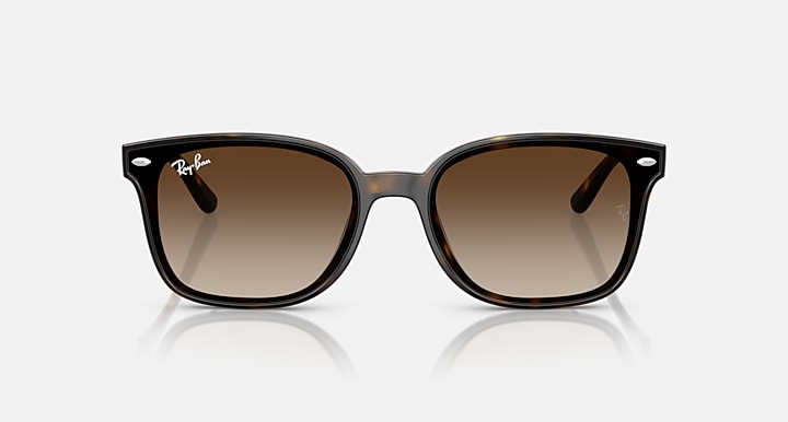Ray-Ban RB4461D Havana with Gradient Brown Gradient lenses - Front