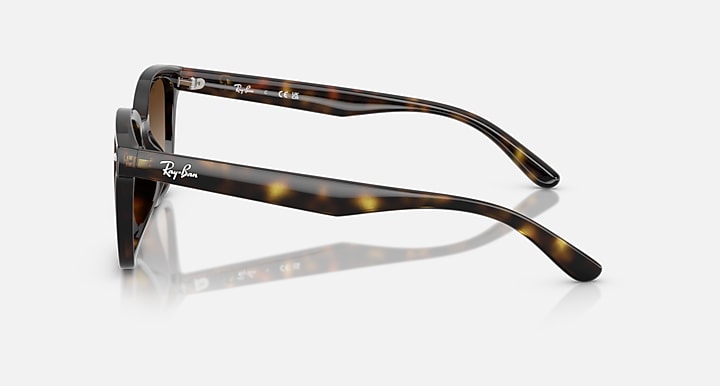 Ray-Ban RB4461D Havana with Gradient Brown Gradient lenses - Lateral