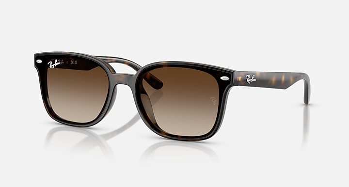 Ray-Ban RB4461D Havana with Gradient Brown Gradient lenses - Quarter