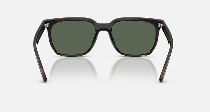 Ray-Ban RB4466D Havana with Dark Green Solid Color lenses - Back