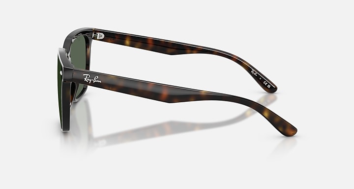 Ray-Ban RB4466D Havana with Dark Green Solid Color lenses - Lateral