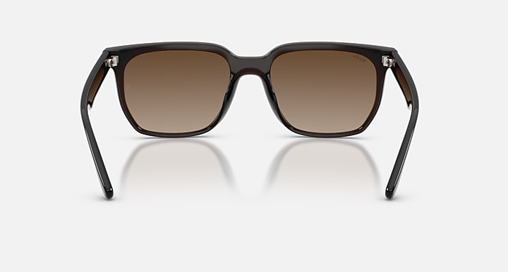 Ray-Ban RB4466D Transparent Dark Brown with Brown Gradient Gradient lenses - Back