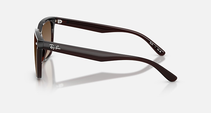 Ray-Ban RB4466D Transparent Dark Brown with Brown Gradient Gradient lenses - Lateral