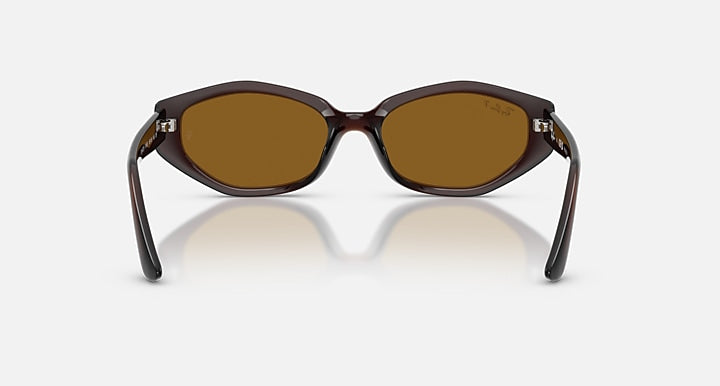 Ray-Ban RB4473D Dark Brown with Dark Brown Polarized Solid Color lenses - Back