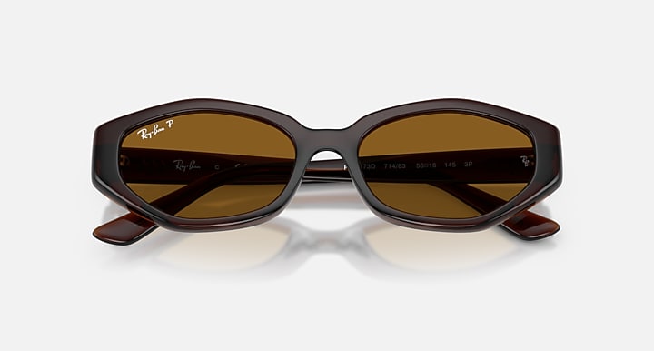 Ray-Ban RB4473D Dark Brown with Dark Brown Polarized Solid Color lenses - Closed Front