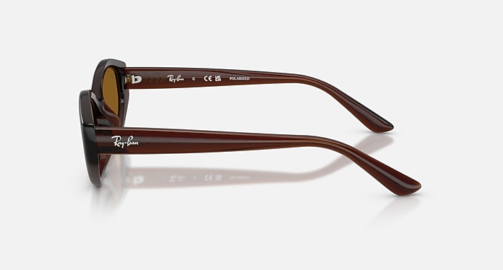 Ray-Ban RB4473D Dark Brown with Dark Brown Polarized Solid Color lenses - Lateral