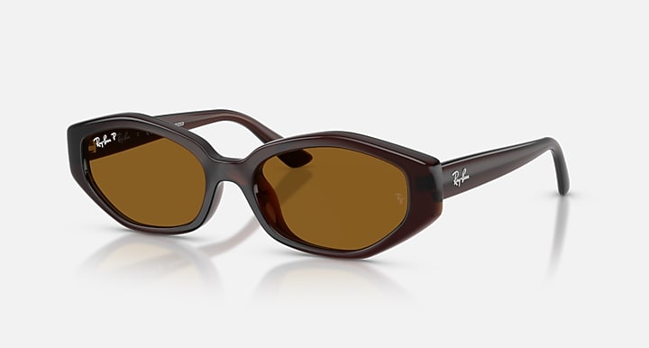 Ray-Ban RB4473D Dark Brown with Dark Brown Polarized Solid Color lenses - Quarter