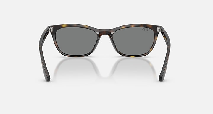 Ray-Ban RB4474D Havana with Dark Grey Solid Color lenses - Back