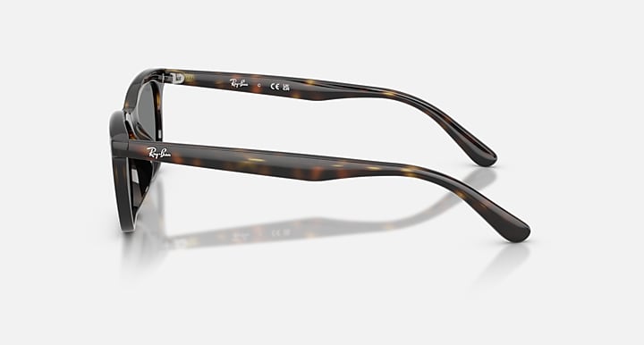 Ray-Ban RB4474D Havana with Dark Grey Solid Color lenses - Lateral