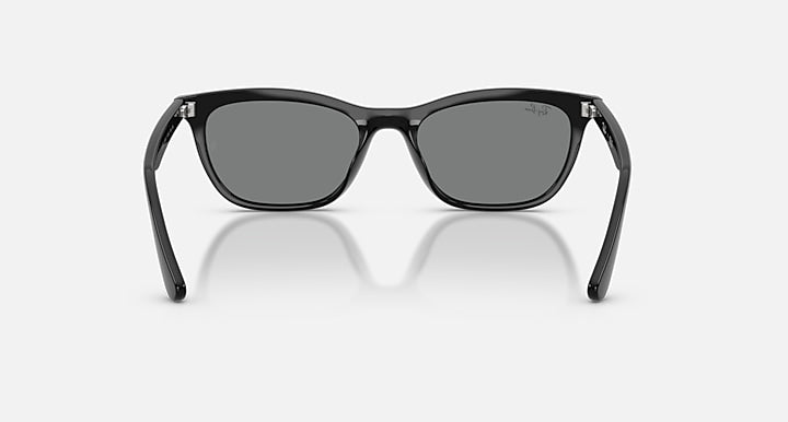 Ray-Ban RB4474D Black with Dark Grey Solid Color lenses - Back