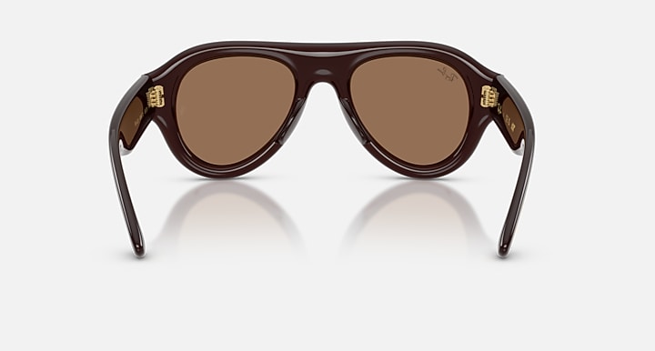 Ray-Ban AVIATOR PUFFER Transparent Dark Brown with Dark Brown Solid Color lenses - Back