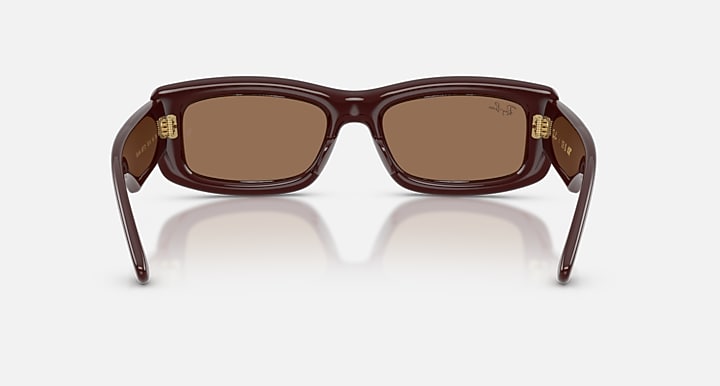 Ray-Ban KILIANE PUFFER Transparent Dark Brown with Dark Brown Solid Color lenses - Back