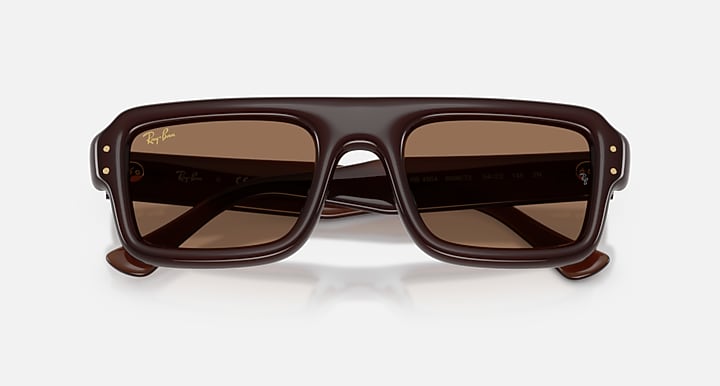Ray-Ban FLACKO PUFFER Transparent Dark Brown with Dark Brown Solid Color lenses - Closed Front