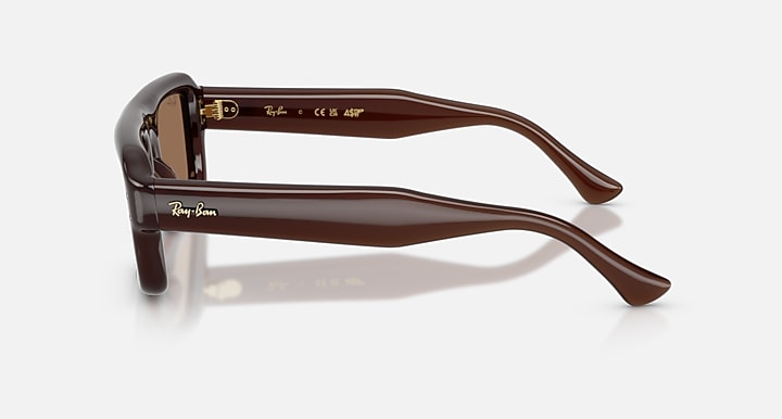 Ray-Ban FLACKO PUFFER Transparent Dark Brown with Dark Brown Solid Color lenses - Lateral
