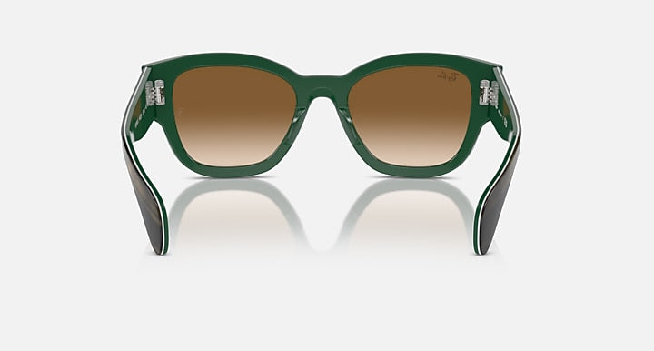 Ray-Ban JORGE Striped Green On Green with Clear & Brown Gradient lenses - Back