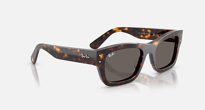 Ray-Ban JOSEPH Havana with Dark Grey Solid Color lenses - Alternative
