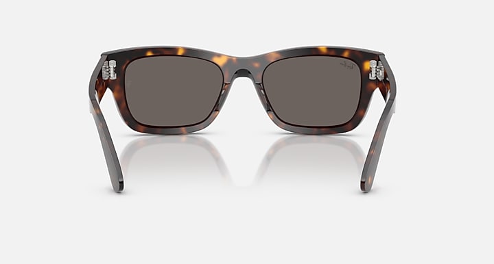 Ray-Ban JOSEPH Havana with Dark Grey Solid Color lenses - Back