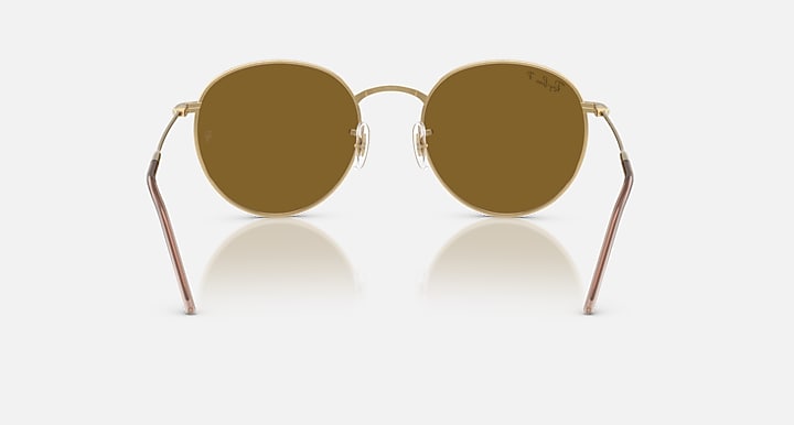 Ray-Ban ROUND REVERSE Arista Gold with Polarized Brown Solid Color lenses - Back