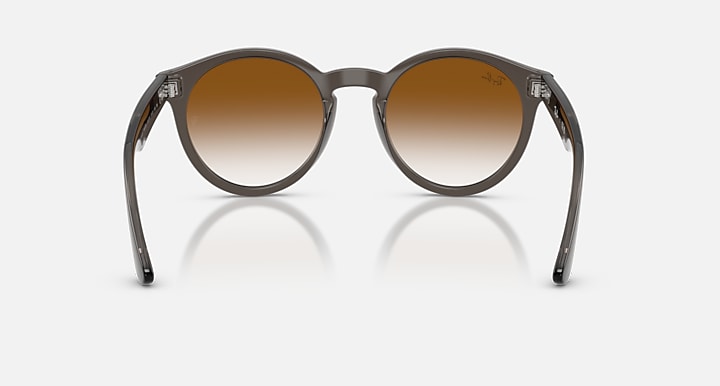 Ray-Ban 2180 REVERSE Transparent Dark Grey with Clear Gradient Brown Gradient lenses - Back