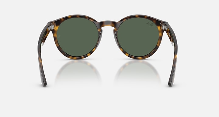 Ray-Ban 2180 REVERSE Havana with Dark Green Solid Color lenses - Back