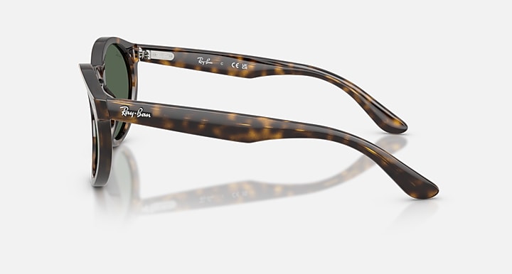Ray-Ban 2180 REVERSE Havana with Dark Green Solid Color lenses - Lateral