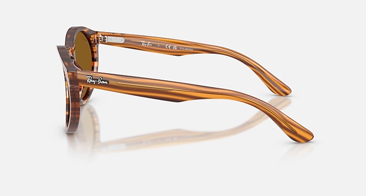 Ray-Ban 2180 REVERSE Striped Havana with Dark Brown Polarized Solid Color lenses - Lateral
