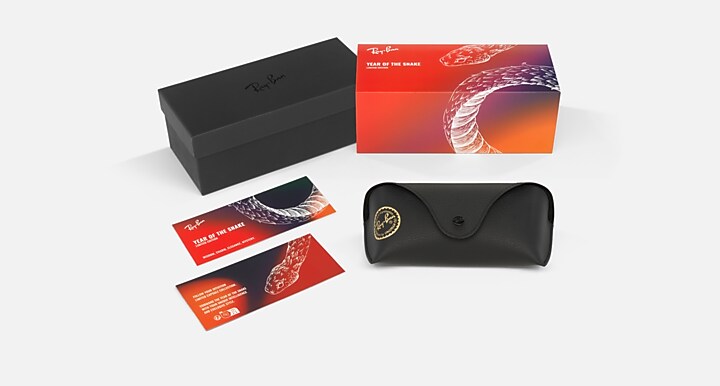 Ray-Ban RB4423D YEAR OF THE SNAKE EDITION Black with Grey Gradient Gradient lenses - Packaging